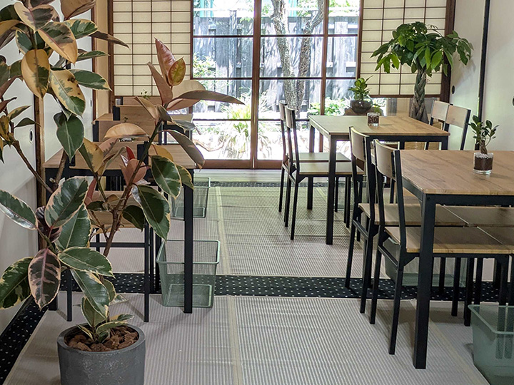 榎の木陰 イメージ写真