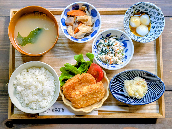 榎の木陰 イメージ写真